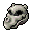 raptor skull